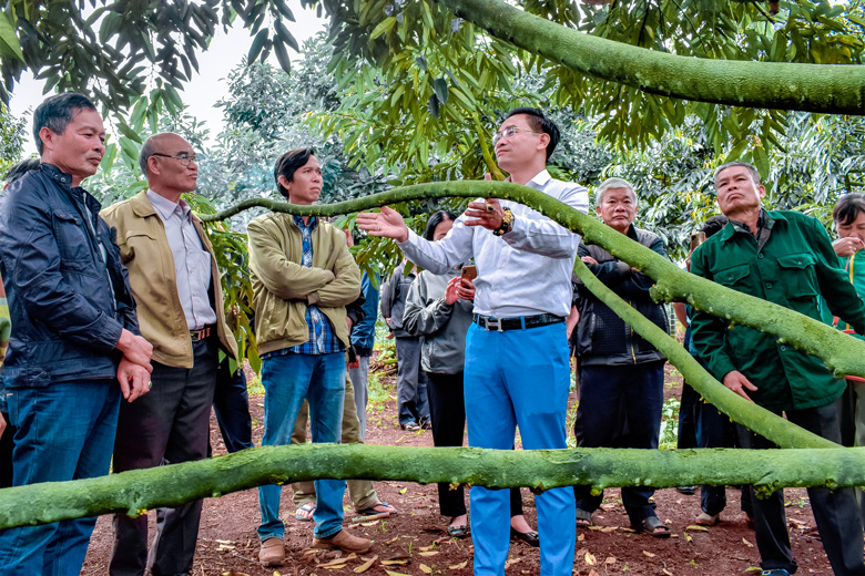 Tăng trưởng cây trồng, vật nuôi - những ghi nhận