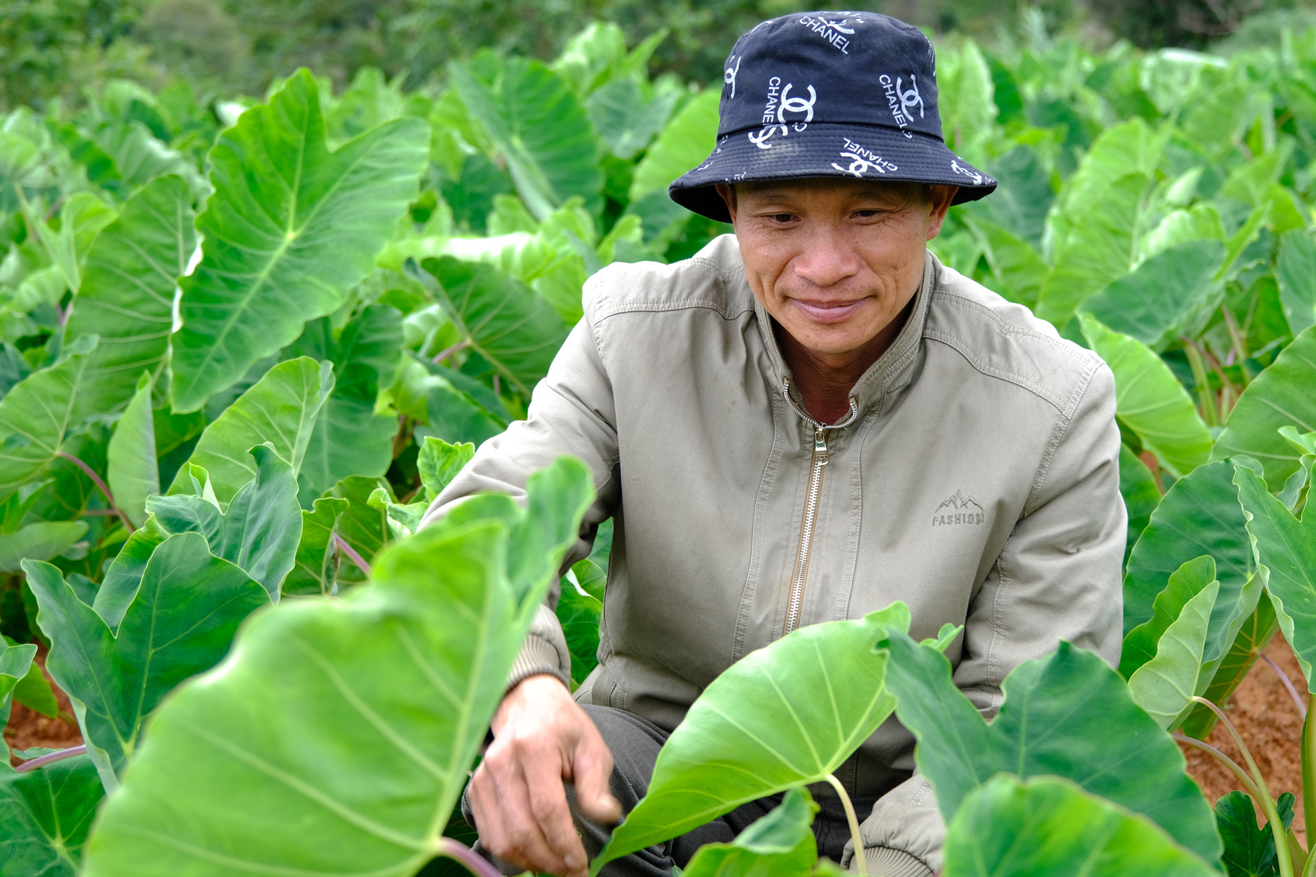 Sức bật mới từ sự chuyển đổi