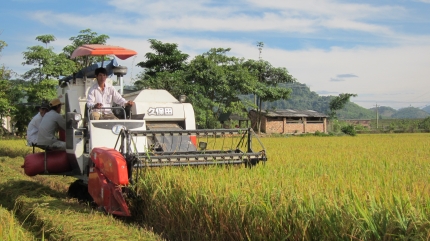 Để nông nghiệp trên địa bàn thị trấn Đạ Tẻh phát triển bền vững