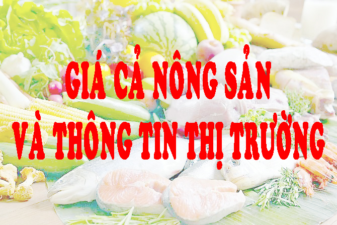 GIÁ NÔNG SẢN VÀ VẬT TƯ NÔNG NGHIỆP Ở TỈNH  LÂM ĐỒNG (24/7/2024-07/8/2024)